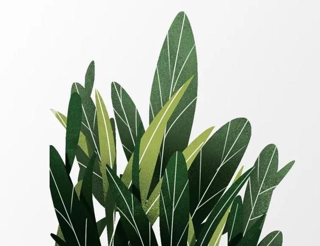 不,我觉得有点无赖!|素材|效果图|书签_新浪新闻