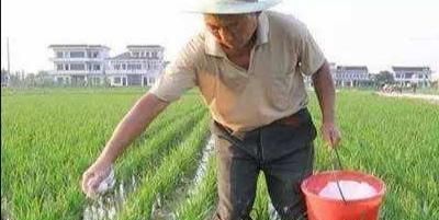 鱼塘专用尿素，磷肥同普通磷肥，尿素有区别吗？