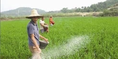 磷肥正确使用方法:正确施用磷肥|磷肥|土壤|作物_新浪新闻