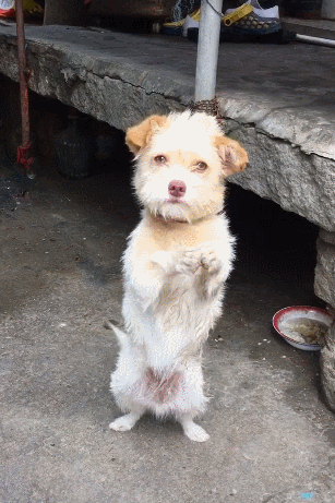 307_461竖版 竖屏gif 动态图 动图