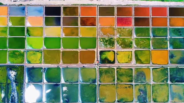 山东海边古老盐田惊现"调色板"!新华社,人民网争相报道!