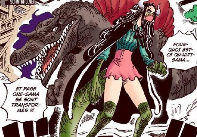 即便是娜美出场,女帝汉库克出场,还有白星出场,都没有润媞这么受欢迎.