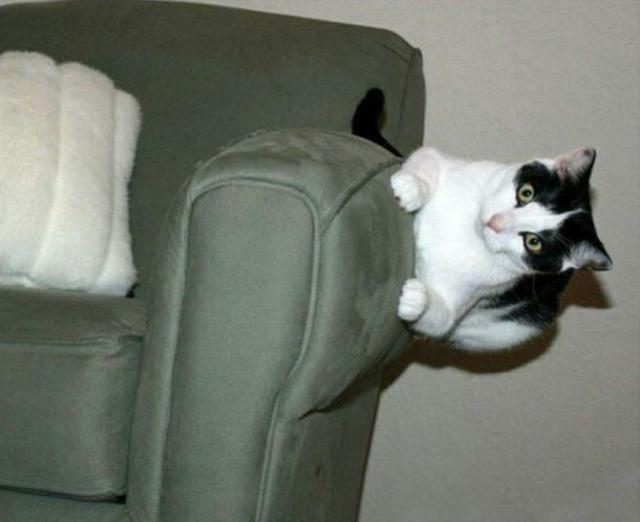 25张匪夷所思的照片,神奇的"反重力"世界