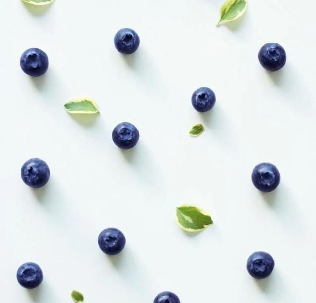 京郊仲夏,与冷色水果相遇.蓝莓,世界上唯一的蓝色水果.