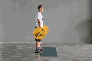 杆做放下提起动作③感受背部的拉伸感肩胛骨的位置保持在杠铃的正上方