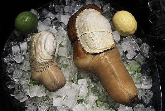 象拔蚌为什么那么贵网友不愧是高级海鲜