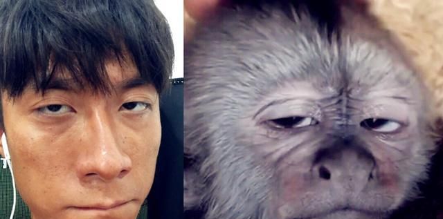 除了六小龄童之外,张一山应该是演猴演得最像的男演员了