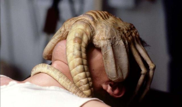 异形5与普罗米修斯的关系，铁血战士又在掺和什么？