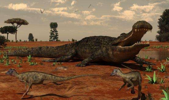 13米长的巨鳄大战恐龙谁赢?5项数据表明:巨鳄只是虚有其表