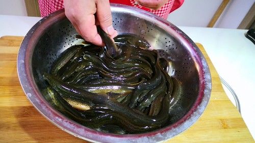 泥鳅钻豆腐的做法视频(泥鳅钻豆腐的做法视频窍门) 泥鳅钻豆腐的做法视频(泥鳅钻豆腐的做法视频窍门)