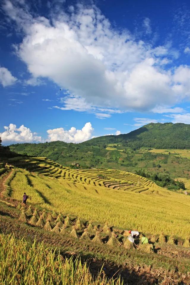 马鞍底,到底是个什么样的地方?竟然如此火爆吸引这么多游客?