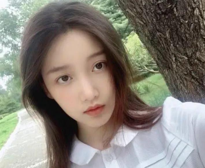 姜贞羽退赛泪洒手术室意外获大佬追捧网友曝光率够什么都有