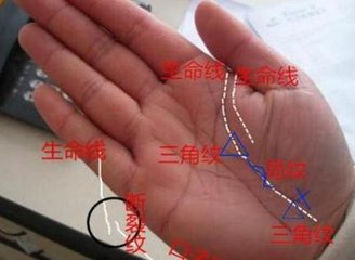 手掌心若有三角纹的人不论男女迟早都会是福主