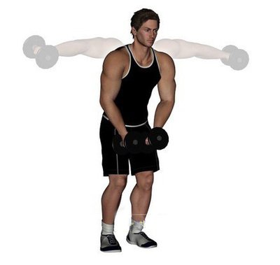 避免侧平举常见问题正确侧平举提高肩部训练效果