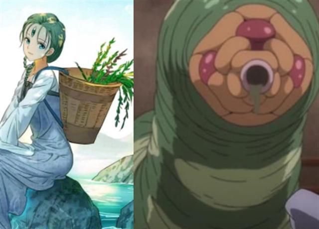 本体则是我们常见的大树,大家普遍对此无感,而翠玉鸣鸾的本体则是水蛭