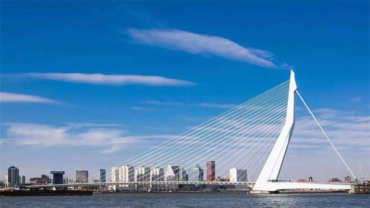 荷兰|断桥|公路_新浪新闻