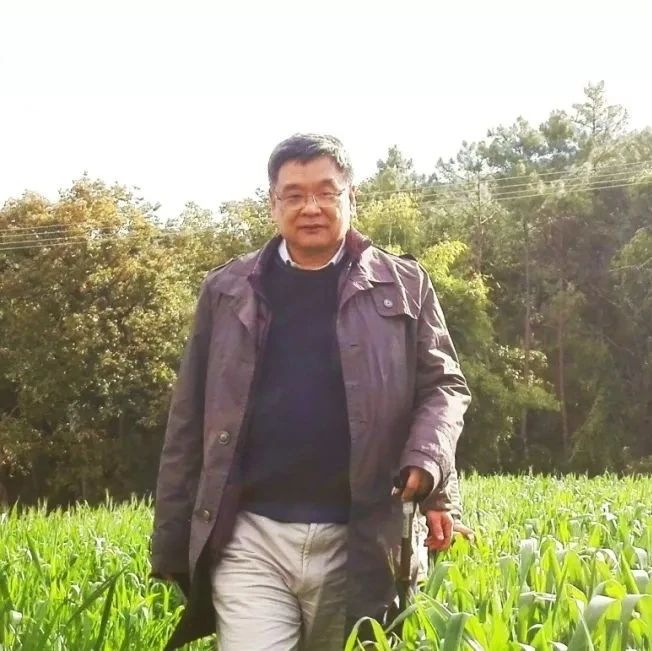 新书 | 刘志伟 :《溪畔灯微:社会经济史研究杂谈》|刘志伟|经济史|杂谈|集子|人类学_新浪新闻