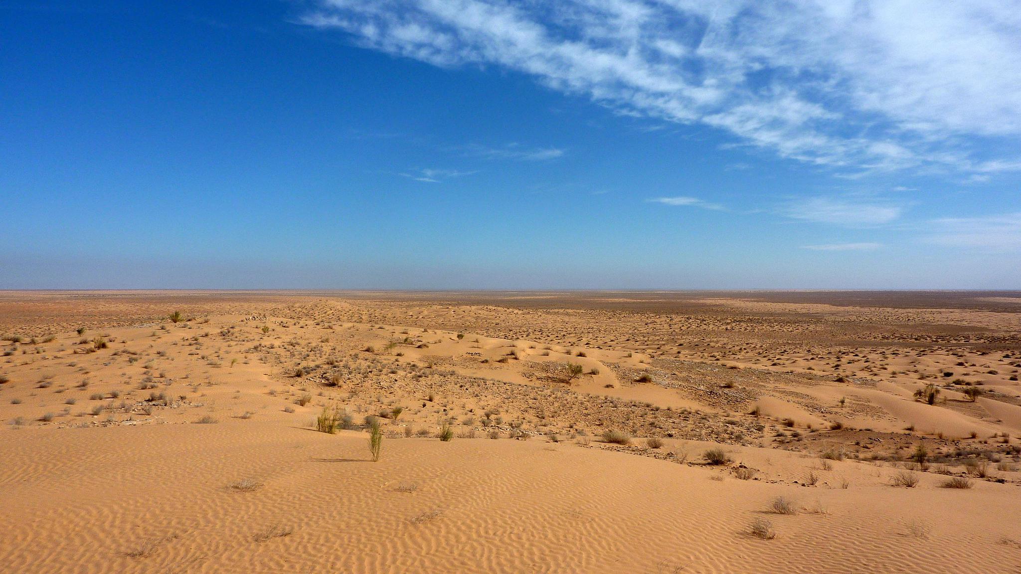 美国要下"土雨",太空可见:沙尘暴跨越万里长途奔袭