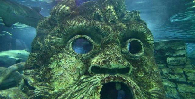 海底万米深处,还有生物生存?专家:不是怪物就是外星人