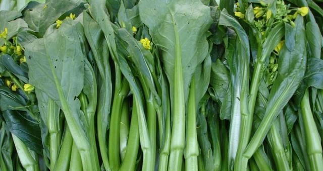 白菜苔这样做鲜香美味,不但营养丰富,而且做法简单又轻松
