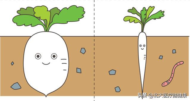 2岁还不会区分大小16张图片教会孩子说反义词