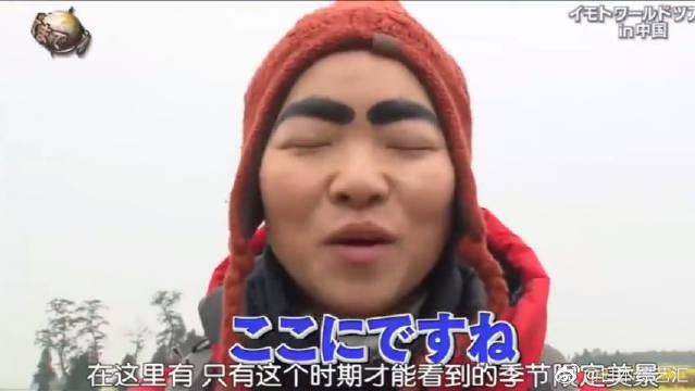 水中花田 梅花藻 这水声听着好舒服 更多精彩内容 水中花田 梅花藻 这水声听着好舒服 更多精彩内容