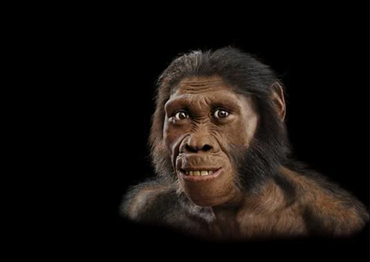 南方|智人|人类_新浪新闻