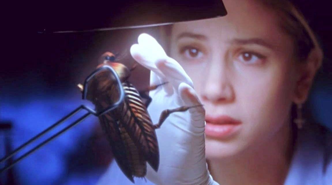 《变种dna》:3年前人类改变了蟑螂基因