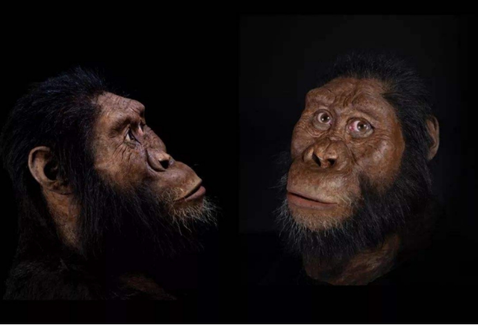 人类的天敌是什么它们战斗力爆表古猿骸骨上的伤痕就是证据