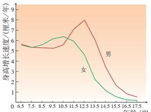 搜索引擎seo优化招商