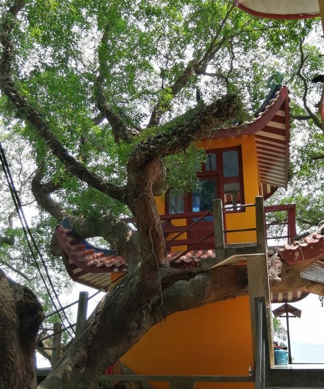 福州五虎山下五灵岩禅寺印象
