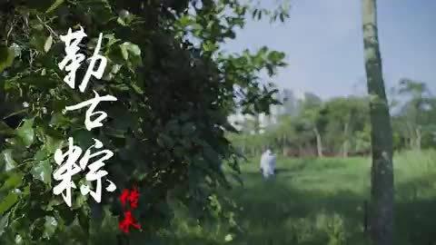 湛江 网络中国节·端午：雷州半岛祖传手艺--勒古鸭母粽_新浪新闻
