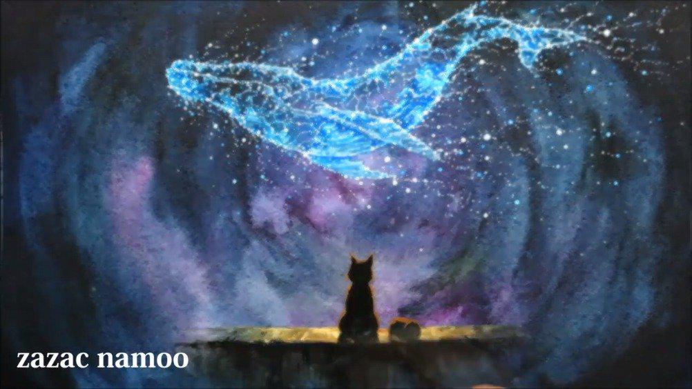 鲸与猫eruda Art 鲸与猫eruda Art