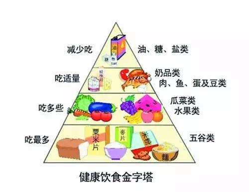 每日膳食结构图2020图片