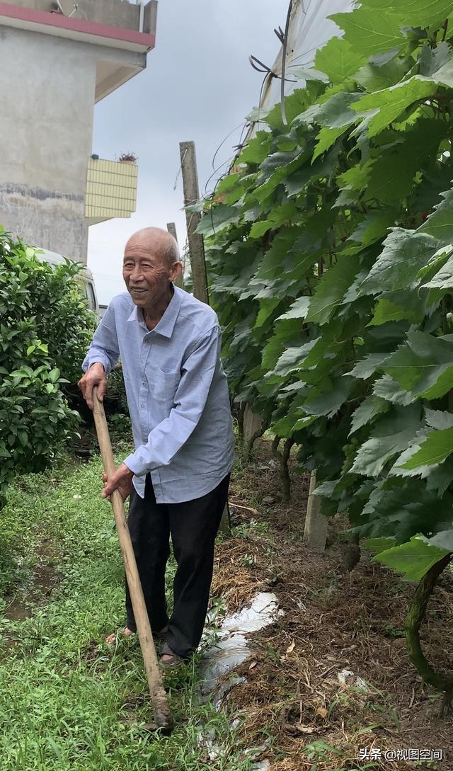 桂林一名98岁老人火了这个原因必须点赞