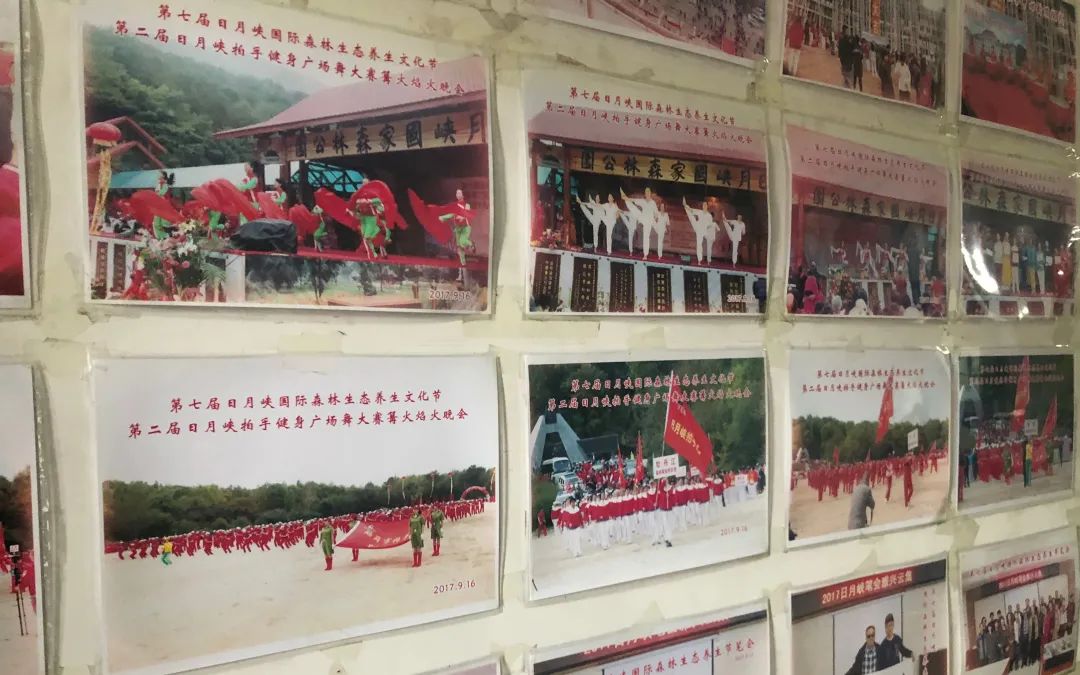  6月23日，位于铁力市的黑龙江日月峡大森林旅游集团有限公司办公室内。新京报记者 向凯 摄
