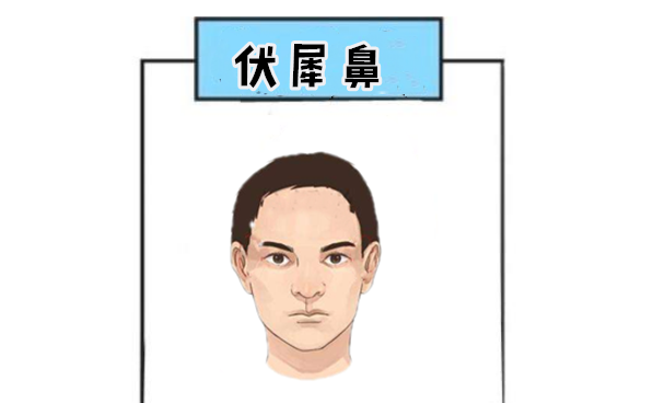 伏犀鼻面相学中所说的伏犀鼻,指的就是鼻梁挺拔端正而且肉不是很多