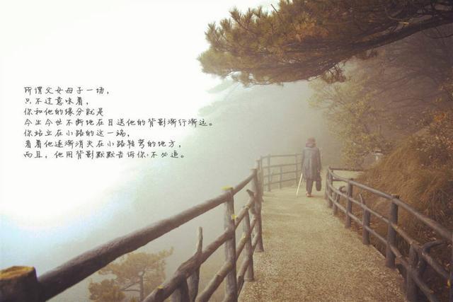 龙应台《目送》:让孩子有学习驱动力,必须先让孩子懂学习的意义