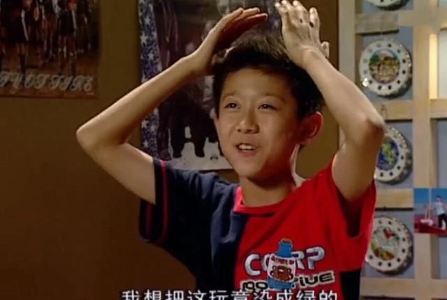 穿越家有儿女 成为刘星经历了什么 如何理解家有儿女的成长故事