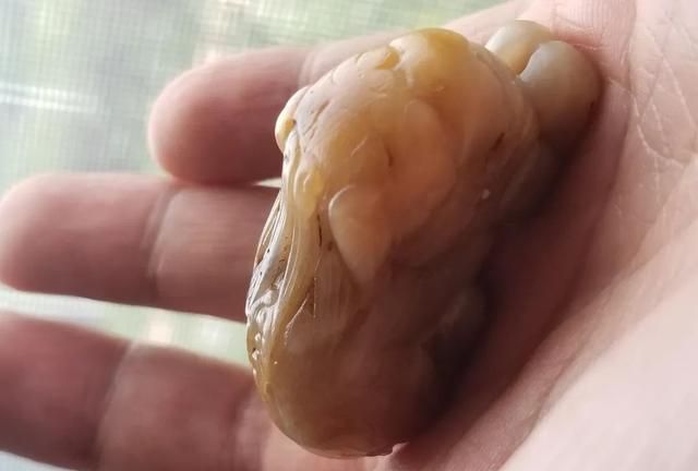 杨念慈爱情论01