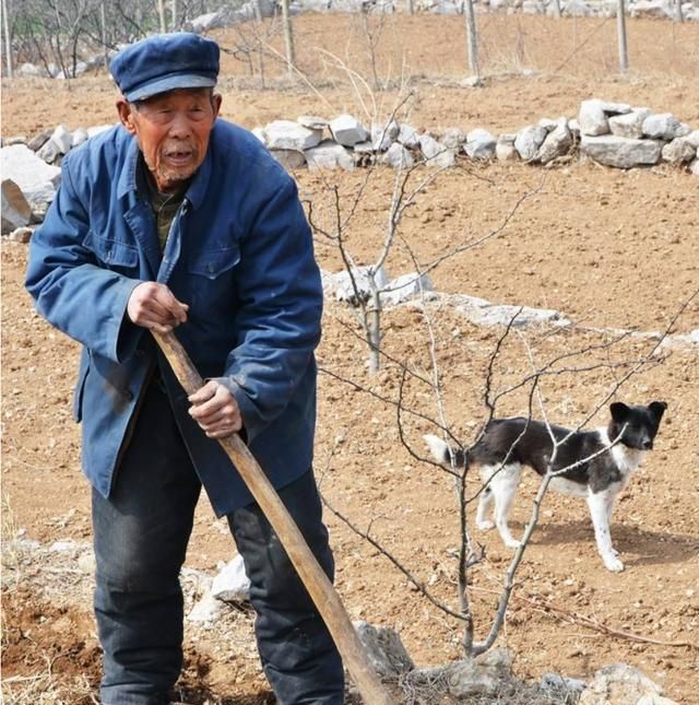 丰县人在青海:一个年过古稀的老大爷,走进了我的店里!