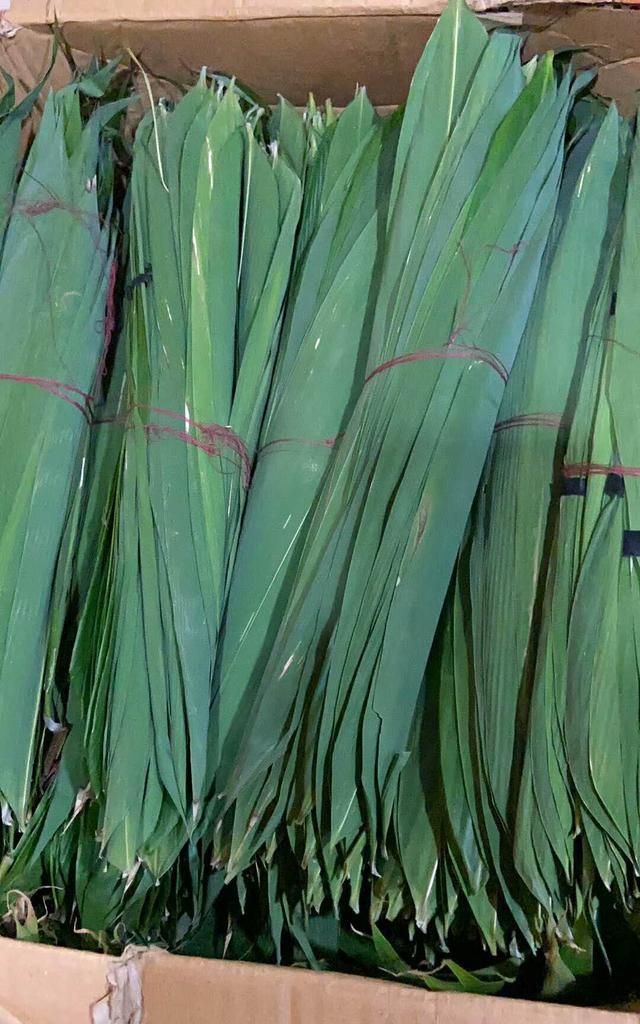 东北苇叶粽子,南方肉粽子,你喜欢哪一个?