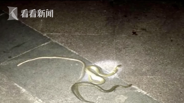 快易彩票投注