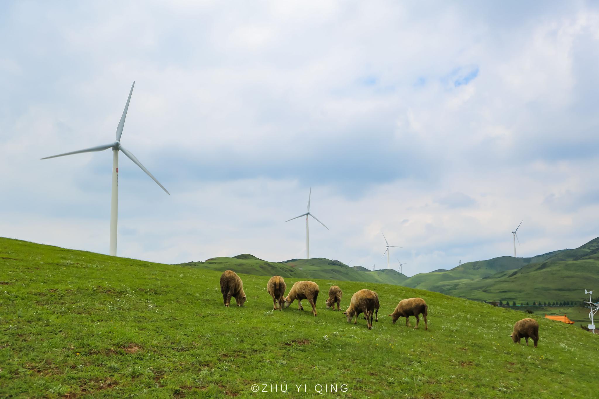 贵州也有一片绝美大草原?风光不输内蒙,牛羊成群还有独特的天池