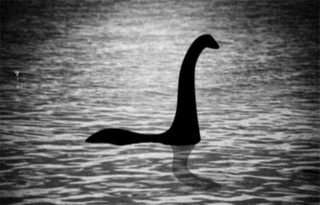 在水怪之后英国尼斯湖又出现未知生物这次的照片更清晰