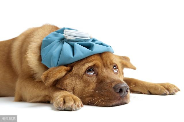 经常乏力,无精打采,身体各种不适?可能是你的营养出了问题!