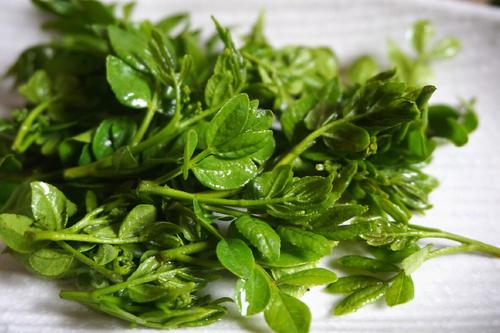 吃过花椒尖的人恐怕不多