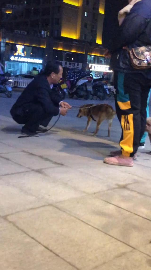 男子用棍教训狗,接下来的画面让人笑喷,狗:想打我?追上我先|狗主人_新浪新闻