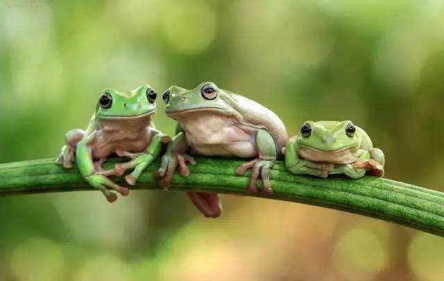 "我等的花都谢了"用古诗怎么说?鬼才诗人被放鸽子写首诗太惊艳