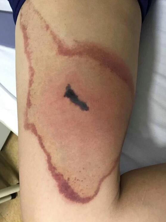 新闻搜索_新浪搜索_新浪网